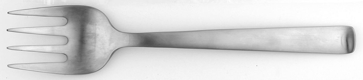 Foster (Stainless) Medium Solid Cold Meat Serving Fork by Robert Welch-1