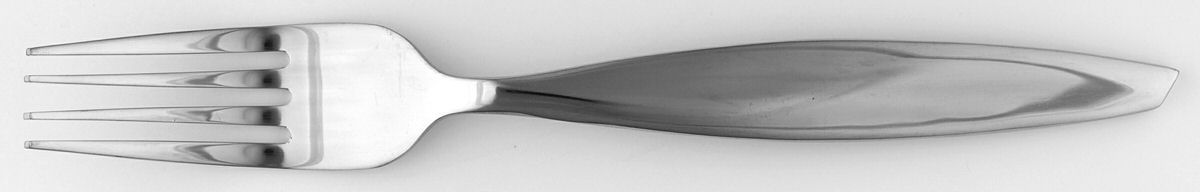Roadway (Stainless) Fork by Retroneu-1