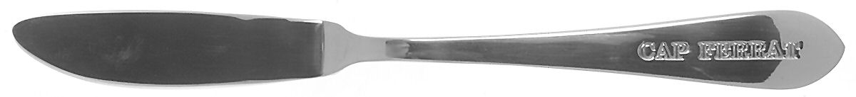 Cote D Azur (Stainless) Flat Handle Master Butter Knife by Reed & Barton-1