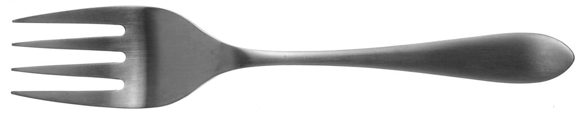 Meridian Satin (Stainless) Solid Serving Fork by Robert Welch-1