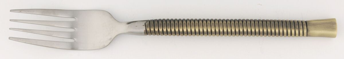 Latitude-Bronze (Stainless) Fork by Retroneu-1