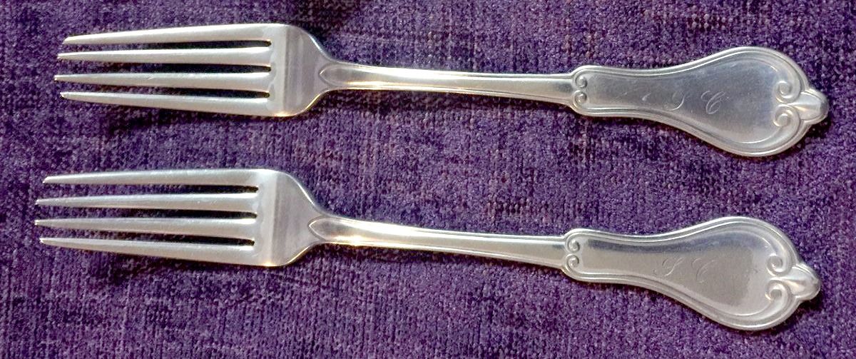 RXM5 (Silverplate) Fork by Rogers Smith-1