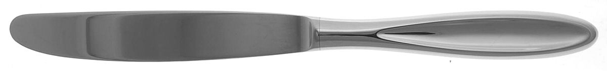 Holliston (Stainless) Modern Hollow Knife by Reed & Barton-1