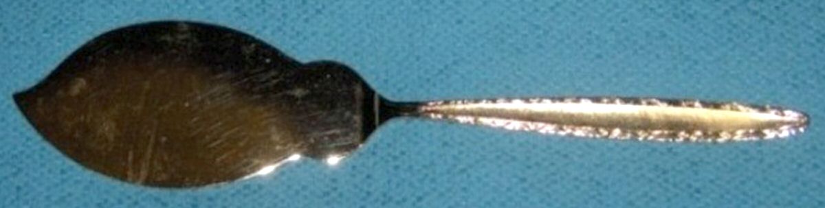 RLN9 (Gold Electroplate) Solid Ice Cream Slicer by Royalton-1