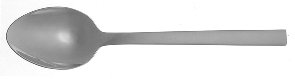 Daria (Stainless, Satin Handle) Tablespoon (Serving Spoon) by Reed & Barton-1