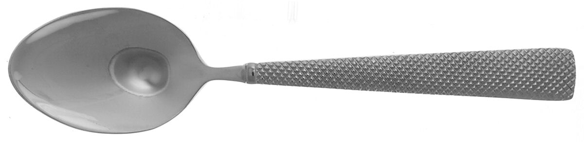 Campion (Stainless) Teaspoon by Reed & Barton-1