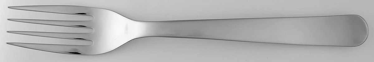 Aaron (Stainless) Large Solid Cold Meat Serving Fork by Robert Welch-1