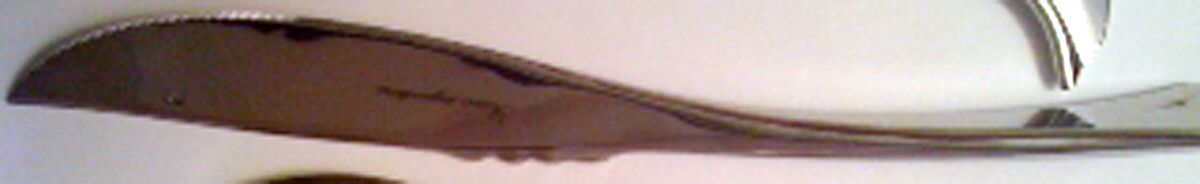 Catch of the Day (Stainless) Modern Solid Knife by Ricci (Argentieri)-1