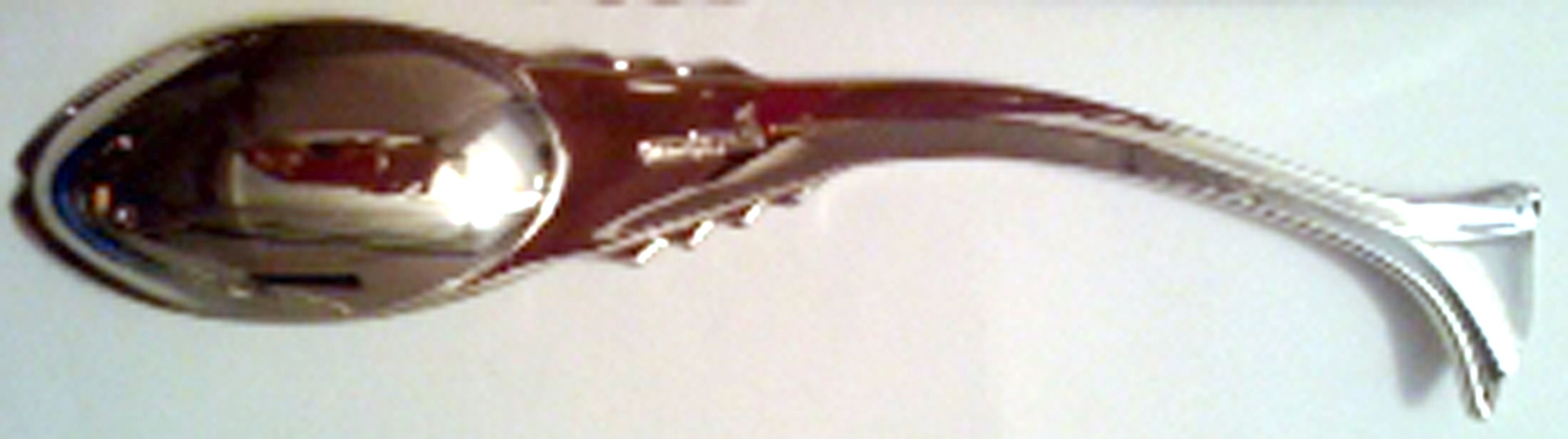 Catch of the Day (Stainless) Teaspoon by Ricci (Argentieri)-1