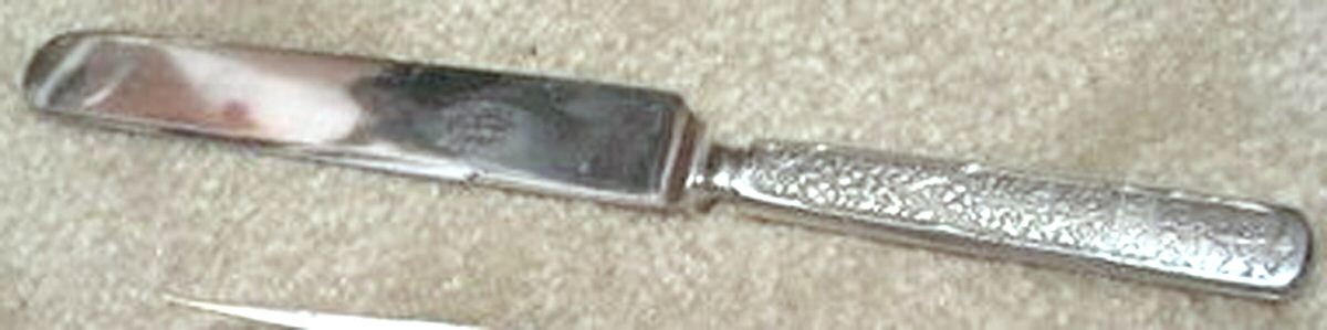RDS191 (Silverplate) Blunt Hollow Knife by Reed & Barton-1