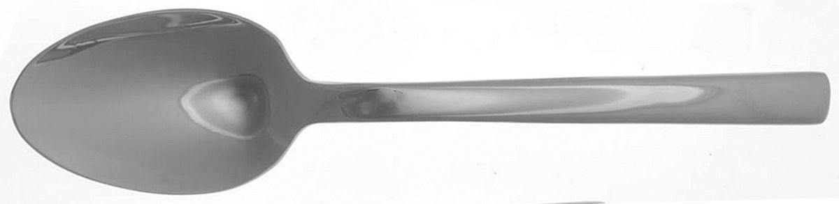 Daria (Stainless, All Glossy) Tablespoon (Serving Spoon) by Reed & Barton-1