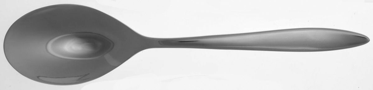Delfino (Stainless) Tablespoon (Serving Spoon) by Reed & Barton-1