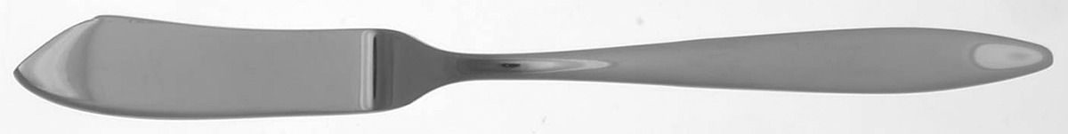 Delfino (Stainless) Flat Handle Master Butter Knife by Reed & Barton-1