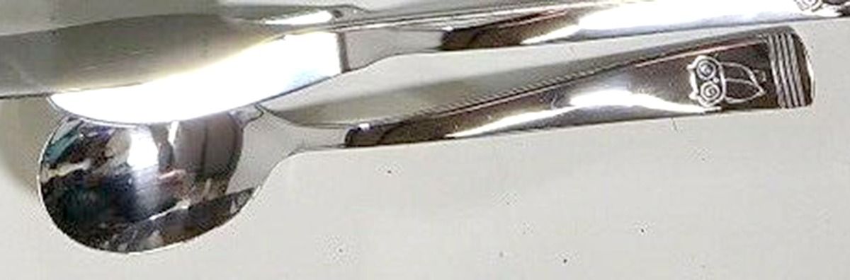 Little Hoot (Stainless) Sugar Spoon by Rachael Ray-1