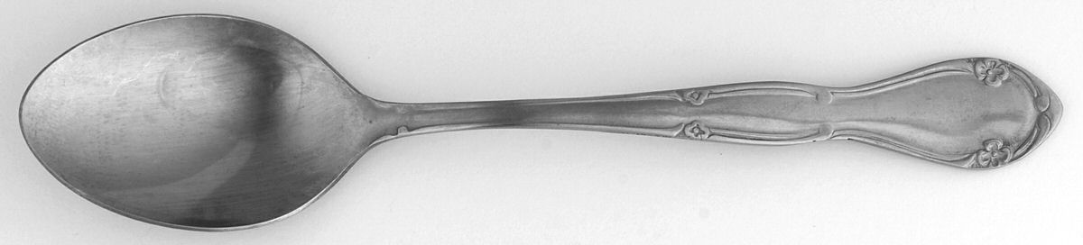 RLS5 (Stainless) Teaspoon by Regal Silver -1