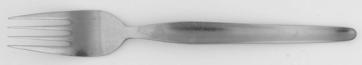 R2Q1 (Stainless) Fork by Rodger-1