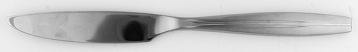 RDS210 (Stainless) Modern Solid Knife by Reed & Barton-1