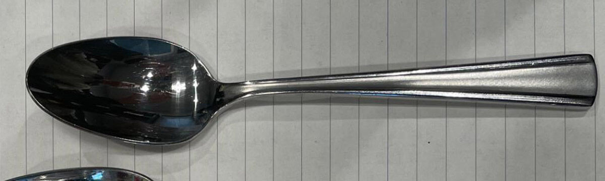 Chambelain (Stainless) Teaspoon by Robinson (Robinson Home Products)-1