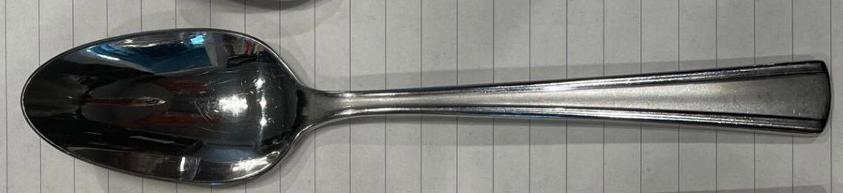 Chambelain (Stainless) Place/Oval Soup Spoon by Robinson (Robinson Home Products)-1