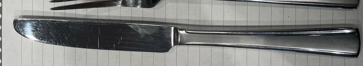 Chambelain (Stainless) New French Solid Knife by Robinson (Robinson Home Products)-1