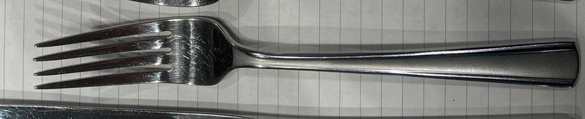 Chambelain (Stainless) Fork by Robinson (Robinson Home Products)-1