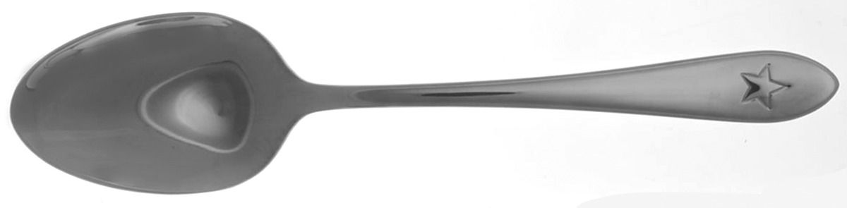 Titanic (Stainless) Tablespoon (Serving Spoon) by Reed & Barton-1