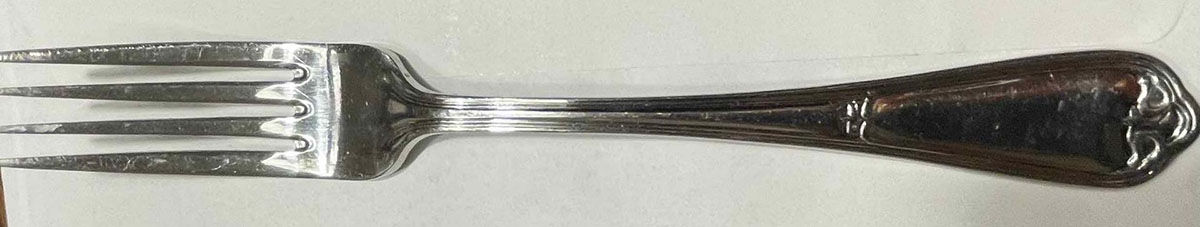 RTR54 (Stainless) Fork by Retroneu-1