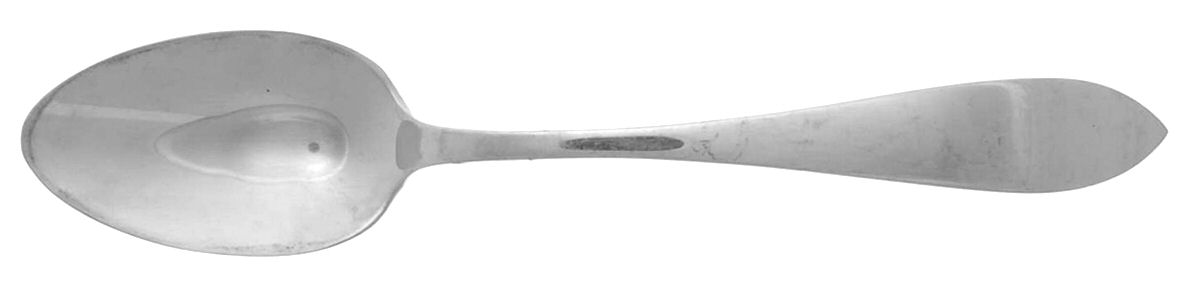 La Rochelle (Sterling, 1895, No Monograms) Teaspoon by Schofield-1