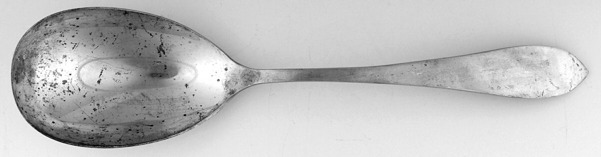 La Rochelle (Sterling, 1895, No Monograms) Solid Serving Spoon by Schofield-1