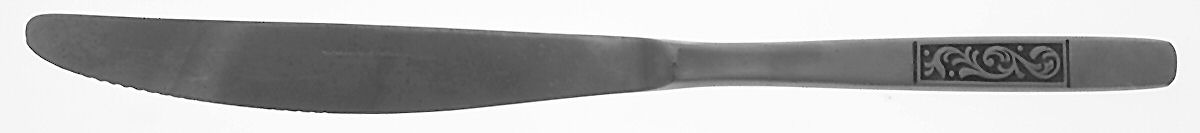 Elegance (Stainless) Small Steak Carving Knife with Stainless Blade by Salem-1