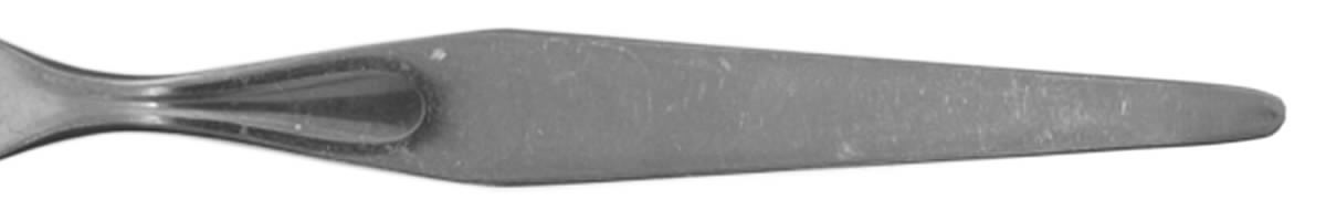 SLK4 (Stainless) Fork by Silkema-1