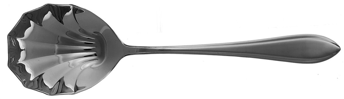 Carrera (Stainless) Solid Serving Spoon by Splendide-1