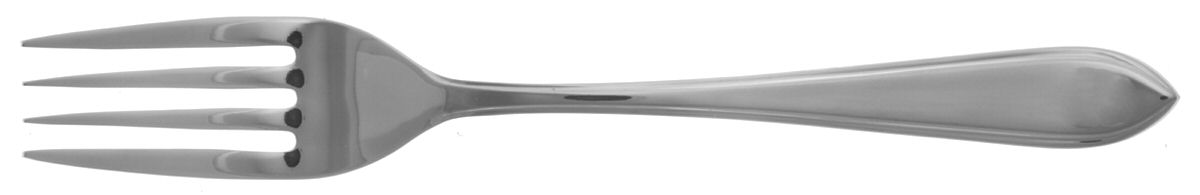 Carrera (Stainless) Individual Salad Fork by Splendide-1