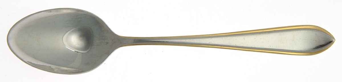 Carrera Gold (Stainless, Gold Accent) Teaspoon by Splendide-1