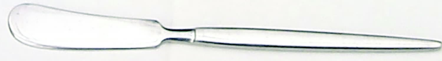 Astro (Stainless) Flat Handle Butter Spreader by Stanley Roberts-1