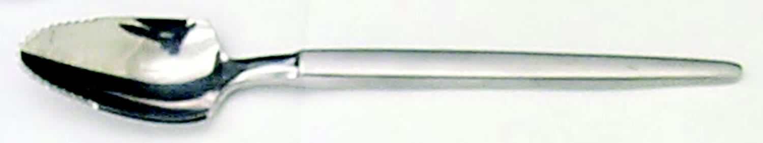 Astro (Stainless) Fruit/Orange Spoon by Stanley Roberts-1
