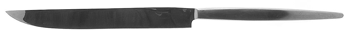 Astro (Stainless) Large Stainless Blade Roast Carving Knife by Stanley Roberts-1