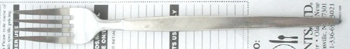 Astro (Stainless) Fork by Stanley Roberts-1