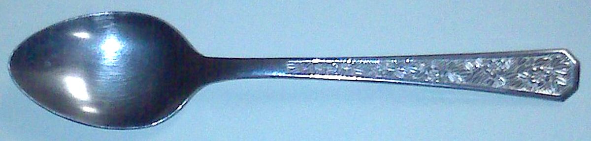 Bayberry (Stainless) Teaspoon by Stanley Roberts-1
