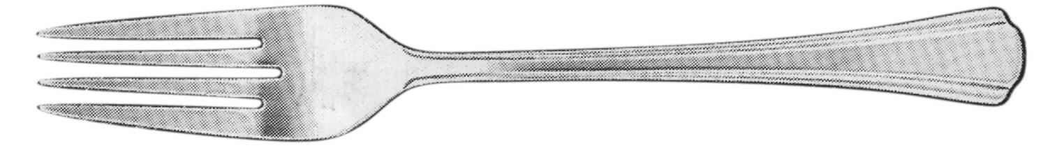 Brooke (Stainless) Fork by Stanley Roberts-1