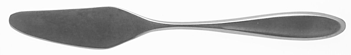 Caneel Bay (Stainless) Flat Handle Butter Spreader by Stanley Roberts-1