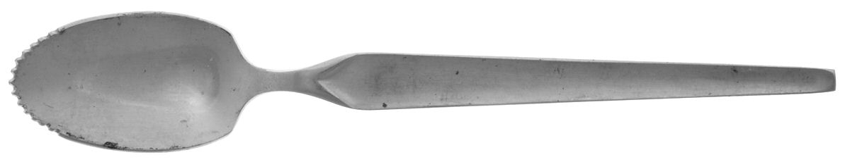 Cortina (Stainless) Fruit/Orange Spoon by Stanley Roberts-1