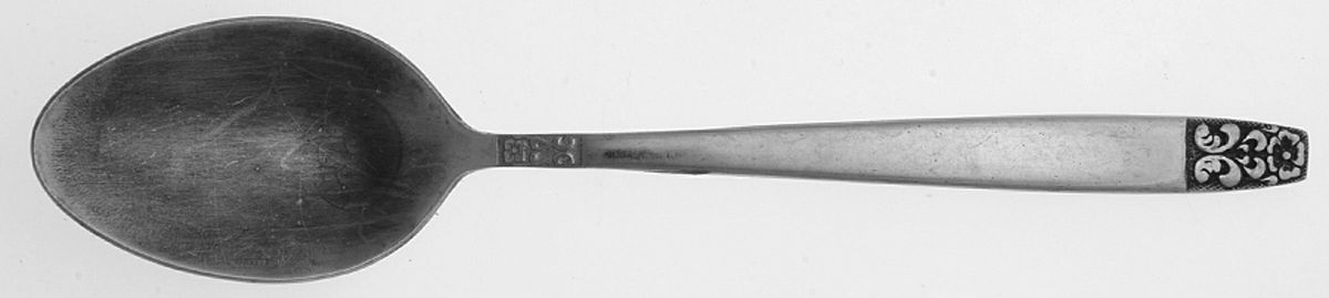 Danesmore (Stainless) Oval Place Soup Spoon by Stanley Roberts-1