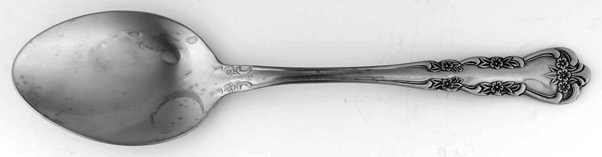 Delight (Stainless) Tablespoon (Serving Spoon) by Stanley Roberts-1