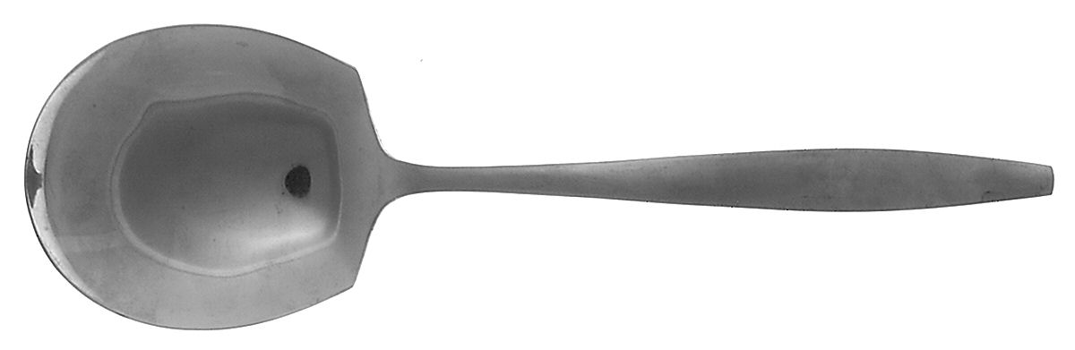 Eileen (Stainless) Solid Smooth Casserole Spoon by Stanley Roberts-1