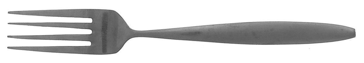 Eileen (Stainless) Fork by Stanley Roberts-1