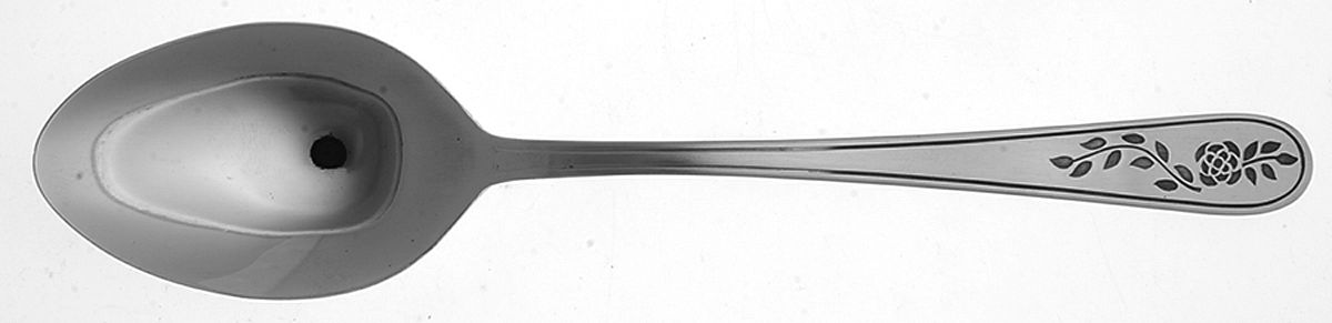 Floral Mist (Stainless) Tablespoon (Serving Spoon) by Stanley Roberts-1