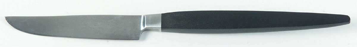 Modern Elegance (Stainless) Individual Fruit Knife with Stainless Blade by Stanley Roberts-1