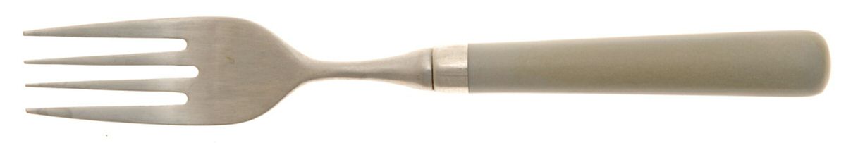 Prism-Bone (Stainless) Individual Salad Fork by Stanley Roberts-1