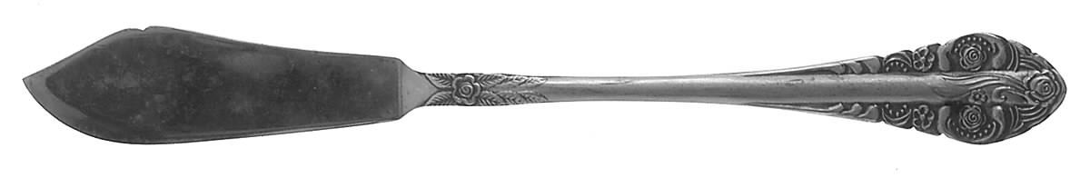 SRB10 (STAINLESS) Flat Handle Master Butter Knife by Stanley Roberts-1